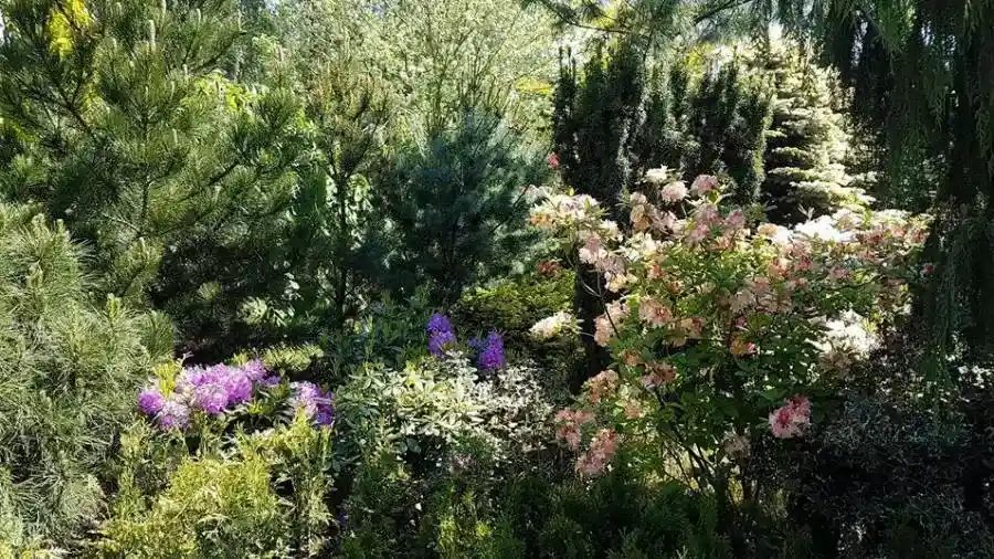 Laubbäume